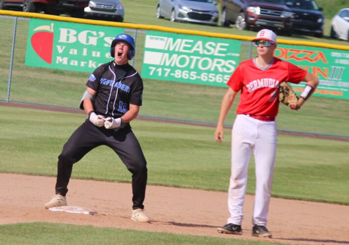 Warrior Run baseball falls to Bermudian Springs in Class AAA quarterfinals